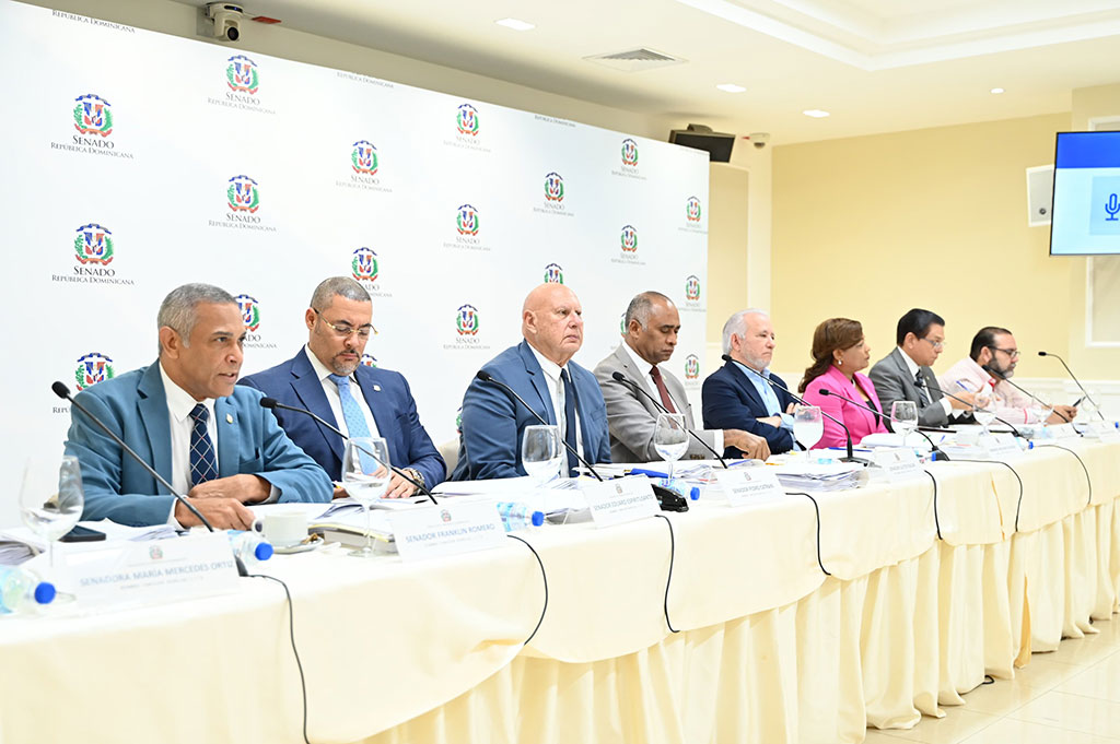 Senado presenta este marte candidatos para dirigir la Junta Central